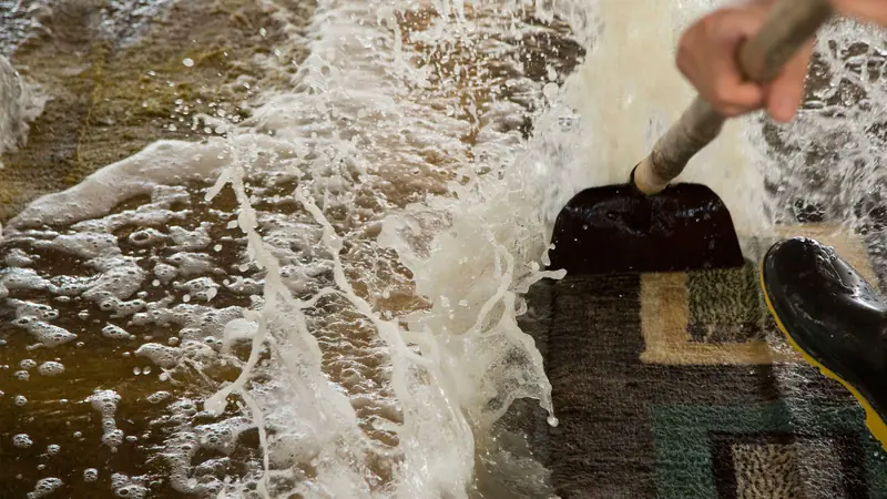 Teppich wird mit viel Wasser und einem Abzieher gewaschen